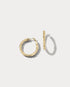 Small Yellow Gold Hoops - Ammrada