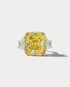 14.36 FIY Emerald-cut Center Stone Three Stone Ring - Ammrada