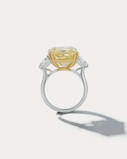 14.36 FIY Emerald-cut Center Stone Three Stone Ring - Ammrada